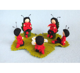 Ladybug party