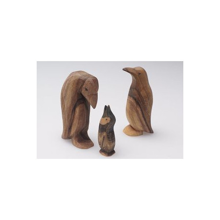 Predan zwemmende eend