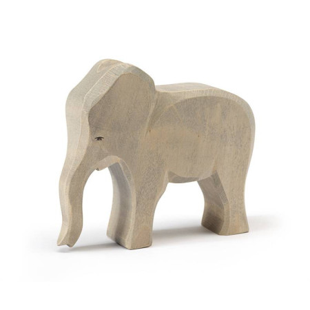 Ostheimer elephant bull (20420)