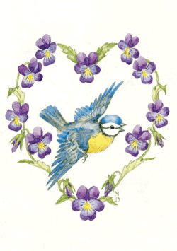 postkaart Blue tit and Violas