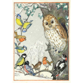 postkaart An owl and other birds (Molly Brett)