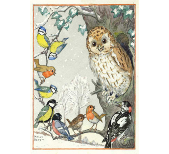 postkaart An owl and other birds (Molly Brett) 177