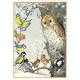 postkaart An owl and other birds (Molly Brett) 177