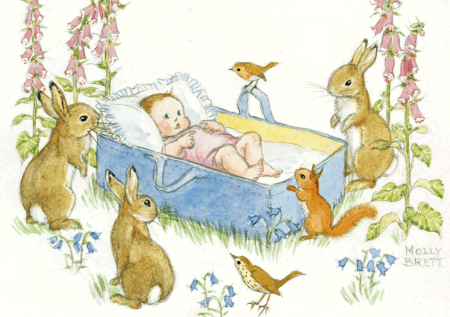 Postal card  An adorable newborn baby (Molly Brett)