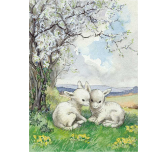 Postcard  Two new born lambs in the field (Molly Brett)