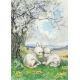 Postkaart Two new born lambs in the field (Molly Brett) 215