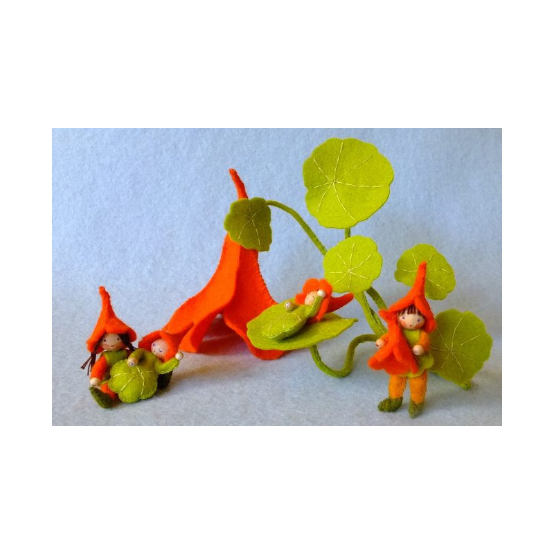 nasturtium (Atelier Pippilotta)