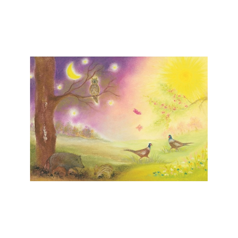 Day and Night (Baukje Exler)