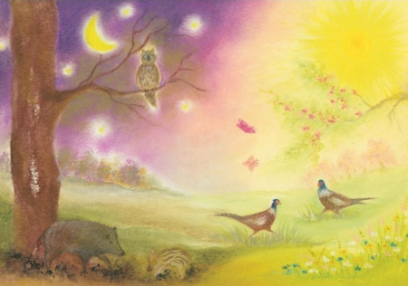 Day and Night (Baukje Exler)