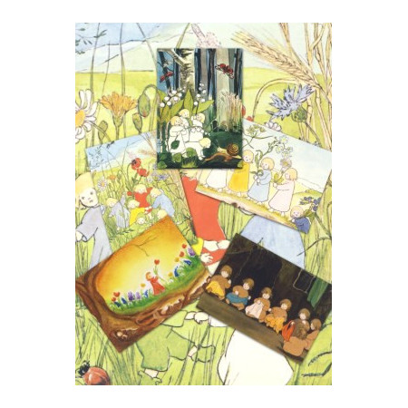 Set of 5 postcards of root children