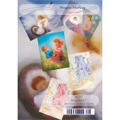 Set of 5 postal cards butterflies