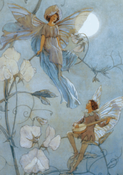 Postkaart Fairies Serenade (Magareth Tarrant) 014