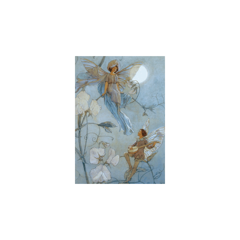 Postkaart Fairies Serenade (Magareth Tarrant) 014