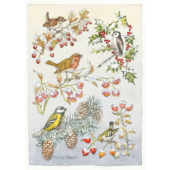 postkaart An owl and other birds (Molly Brett) 177