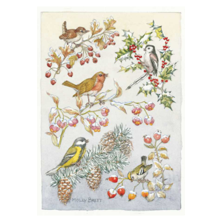 Postal card An owl and other birds (Molly Brett)