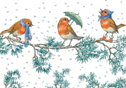postkaart Robin and Rosehips (Molly Brett) 111