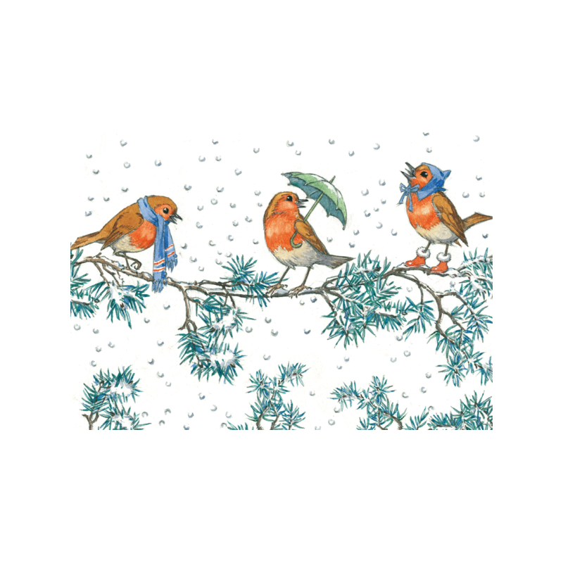 postkaart Robin and Rosehips (Molly Brett) 111