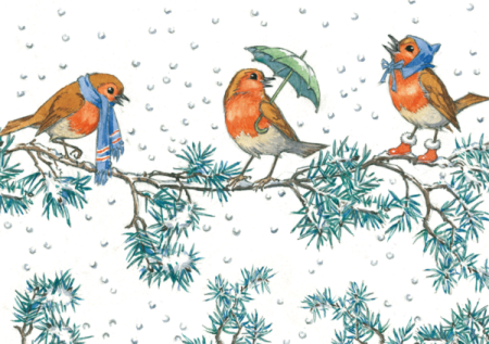Postal card Robin and Rosehips (Molly Brett)
