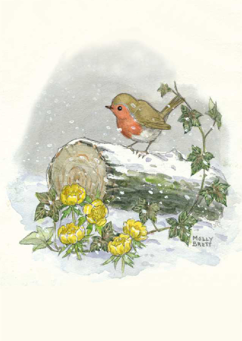 postkaart  Five different birds on Five different  branches (Molly Brett) 149