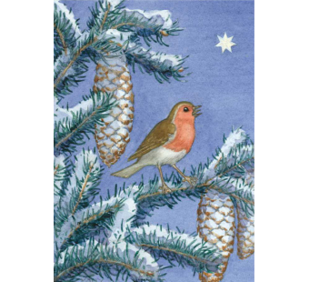 postal card Winter Robin  (Margareth Tarrant) 202