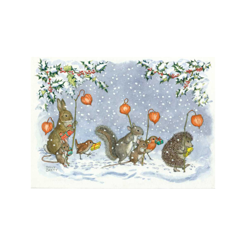 Postal card Five different birds on Five different  branches (Molly Brett) 149