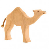 Ostheimer camel (20901)
