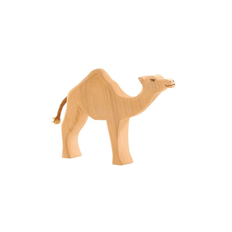 Ostheimer camel (20901)