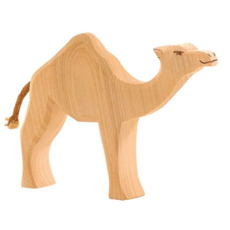 Ostheimer camel (20901)