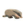 Ostheimer badger head up (16261)