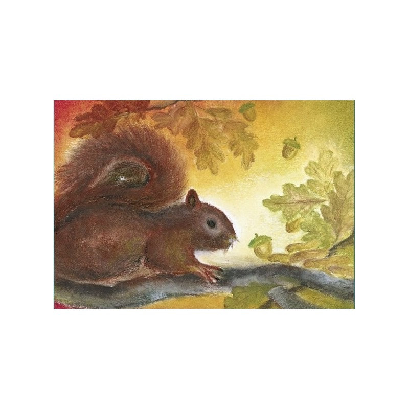 De Eekhoorn (Baukje Exler)