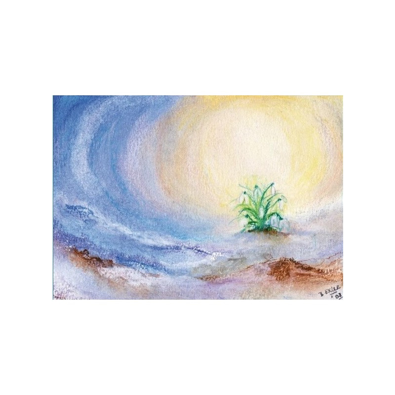 sneeuwklokje klein (Baukje Exler)