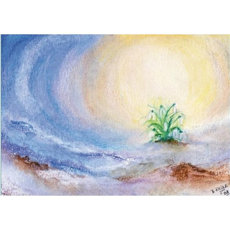 sneeuwklokje klein (Baukje Exler)