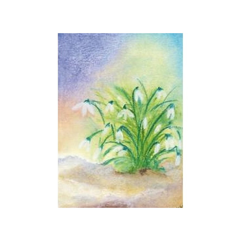 Sneeuwklokje groot (Baukje Exler)