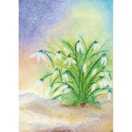 Sneeuwklokje groot (Baukje Exler)