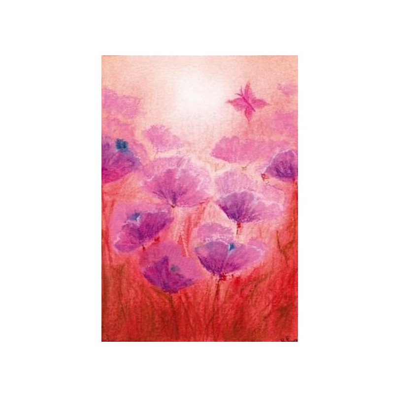 Papavers (Baukje Exler)