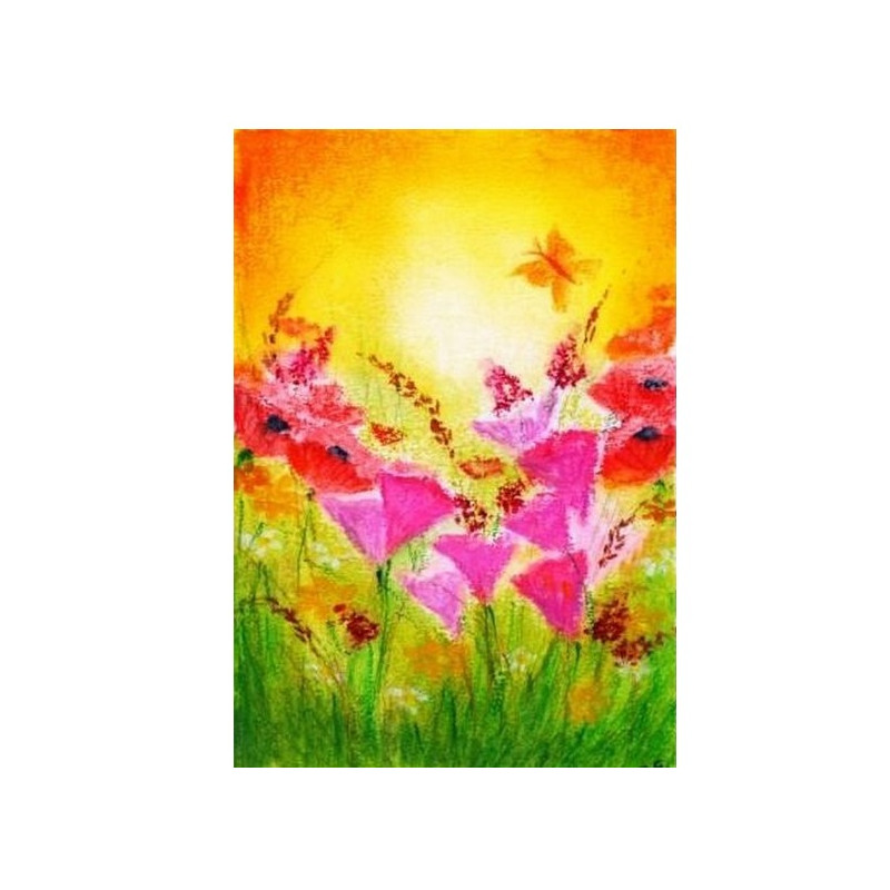 Provence (Aukje Exler)