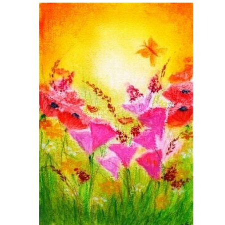 Provence (Aukje Exler)