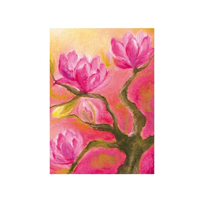 Magnolia (Baukje Exler)