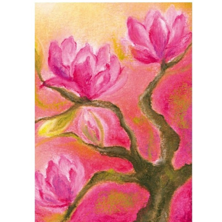 Magnolia (Baukje Exler)