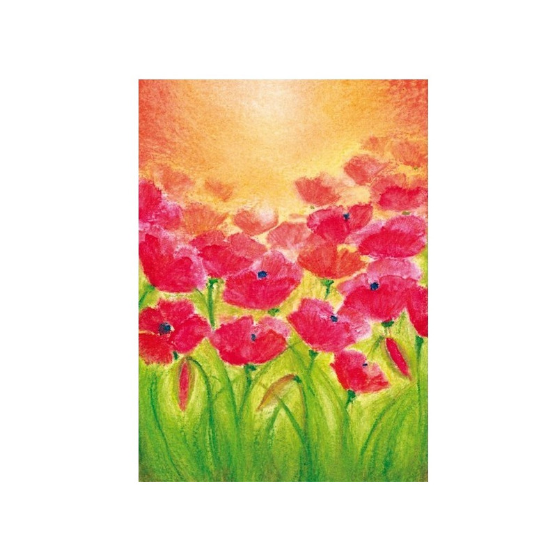 Klaprozen (Baukje Exler)