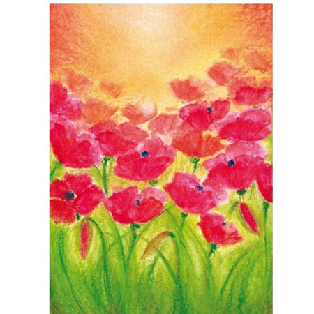 Klaprozen (Baukje Exler)