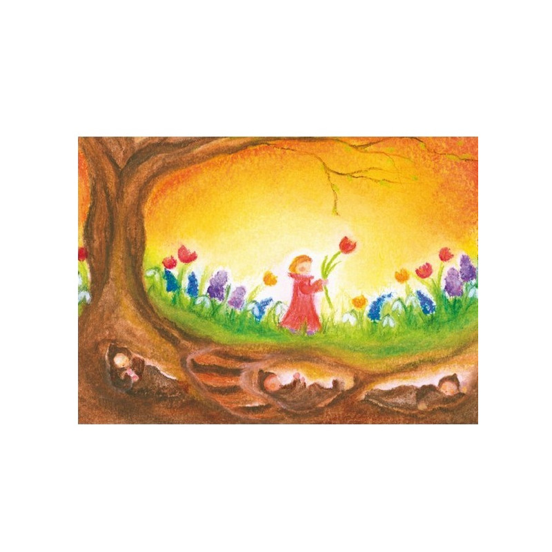 De wortelkindjes (Baukje Exler)