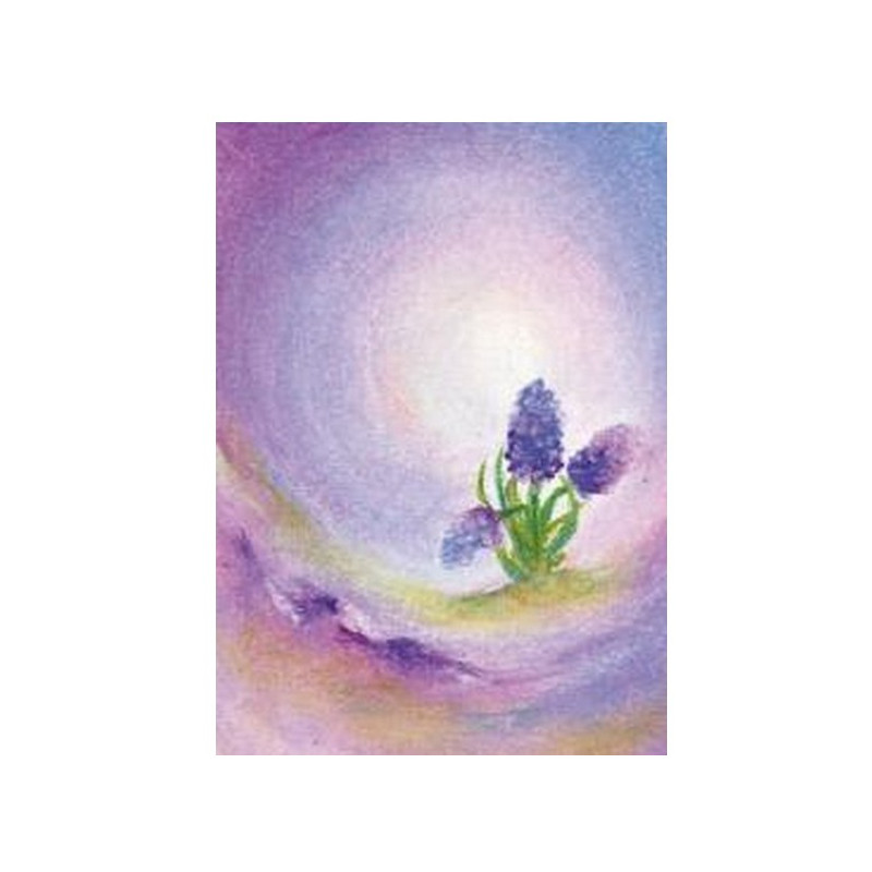 De hyacint (Baukje Exler)