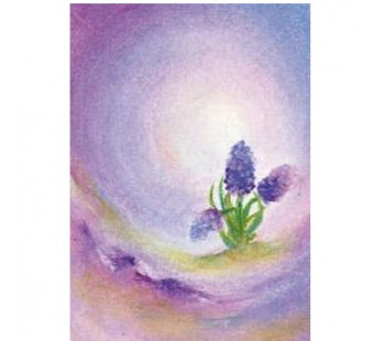 Postkaart De hyacint (Baukje Exler)