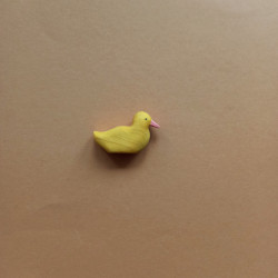 Wooden duckling