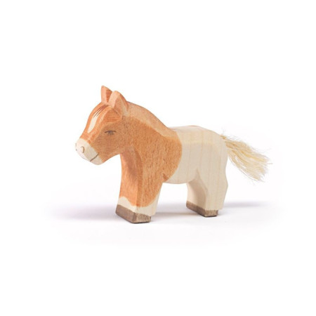 Ostheimer shetlandpony lopend (11304)