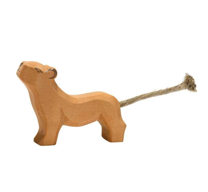 Ostheimer lion cub (20005)