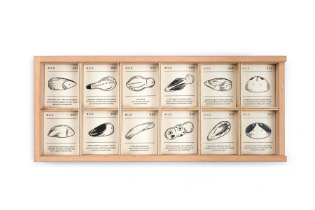 Grapat Wild bewaardoos met 12 creaties (22-232)