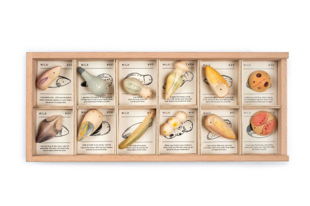 Grapat Wild bewaardoos met 12 creaties (22-232)