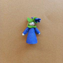 Seasonal doll crocus